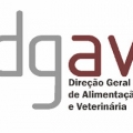noticia31