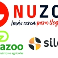 noticia33