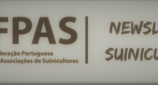 noticia24